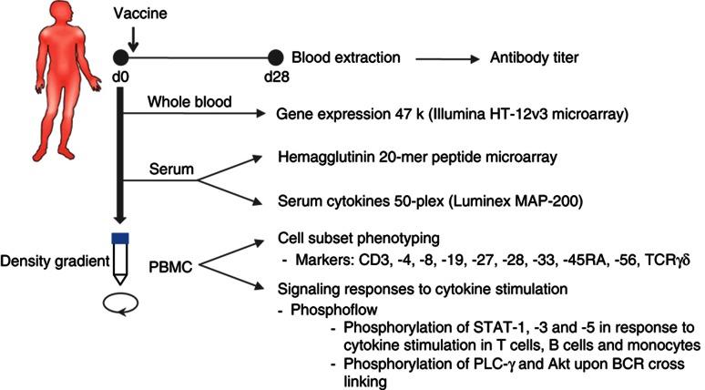 https://cdn.ncbi.nlm.nih.gov/pmc/blobs/3688/3658270/639d55f4d983/msb201315-f1.jpg