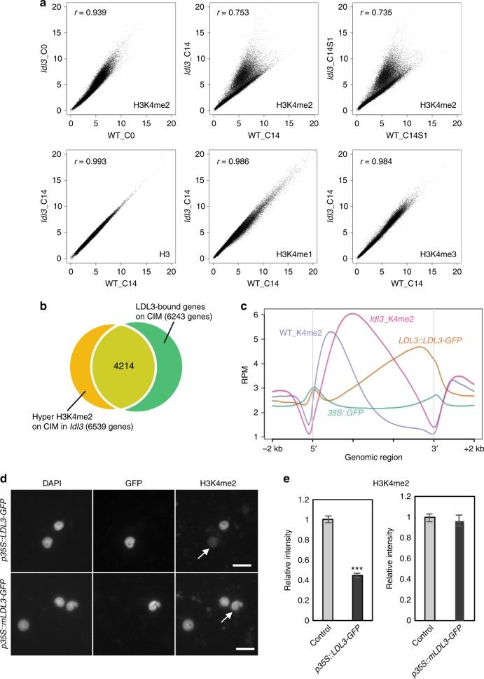 https://cdn.ncbi.nlm.nih.gov/pmc/blobs/368a/6467990/eb31bbac595a/41467_2019_9386_Fig4_HTML.jpg
