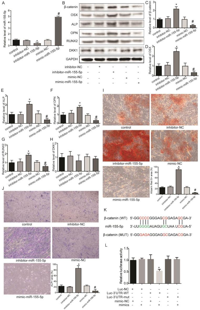 https://cdn.ncbi.nlm.nih.gov/pmc/blobs/368b/12008851/a8ee973c0ace/13018_2025_5798_Fig5_HTML.jpg