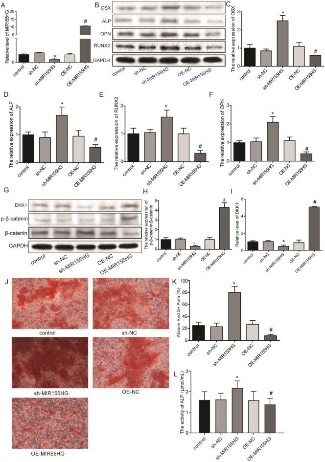 https://cdn.ncbi.nlm.nih.gov/pmc/blobs/368b/12008851/ec05d130f497/13018_2025_5798_Fig3_HTML.jpg