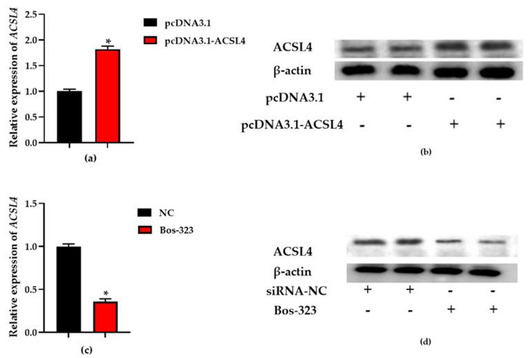 https://cdn.ncbi.nlm.nih.gov/pmc/blobs/368b/7696932/91f260cf3cfd/genes-11-01357-g004.jpg