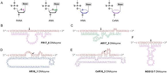 https://cdn.ncbi.nlm.nih.gov/pmc/blobs/368c/7570446/f69757ff2c9a/OPEN-9-1046-g006.jpg