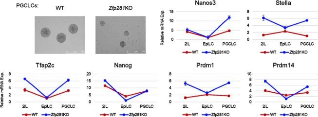 https://cdn.ncbi.nlm.nih.gov/pmc/blobs/368e/5708896/3ed8ce3b710b/elife-33333-resp-fig1.jpg