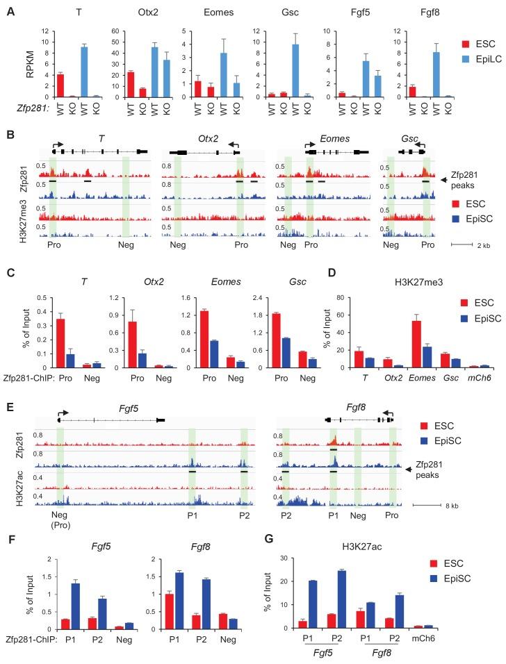 https://cdn.ncbi.nlm.nih.gov/pmc/blobs/368e/5708896/4cc56e7ab53b/elife-33333-fig5.jpg