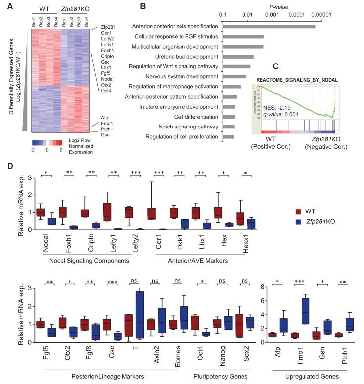 https://cdn.ncbi.nlm.nih.gov/pmc/blobs/368e/5708896/62b75472103f/elife-33333-fig2.jpg