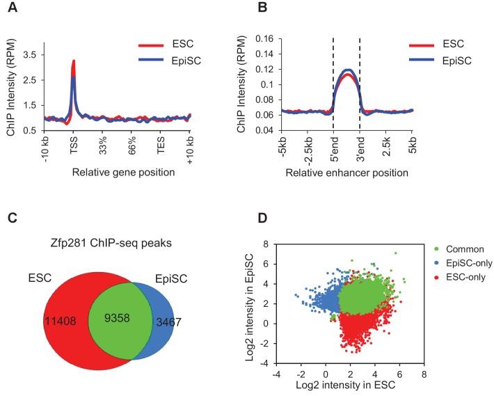 https://cdn.ncbi.nlm.nih.gov/pmc/blobs/368e/5708896/760d8a4f3ce2/elife-33333-fig5-figsupp2.jpg