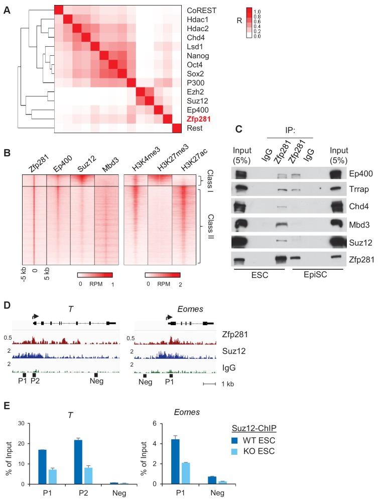 https://cdn.ncbi.nlm.nih.gov/pmc/blobs/368e/5708896/769561e46de9/elife-33333-fig6.jpg
