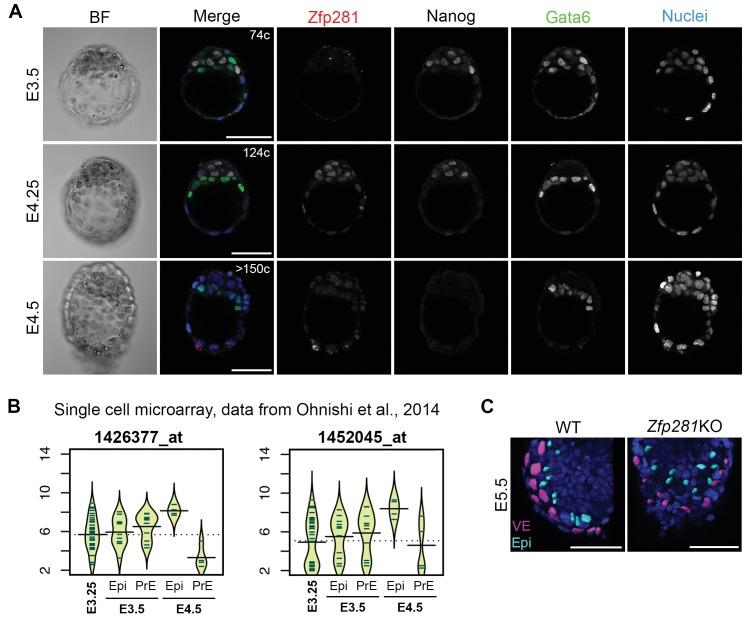 https://cdn.ncbi.nlm.nih.gov/pmc/blobs/368e/5708896/b77430c74422/elife-33333-fig1-figsupp1.jpg