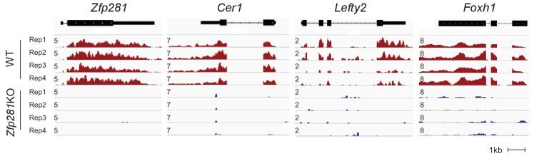 https://cdn.ncbi.nlm.nih.gov/pmc/blobs/368e/5708896/e9e20ea888f8/elife-33333-fig2-figsupp2.jpg