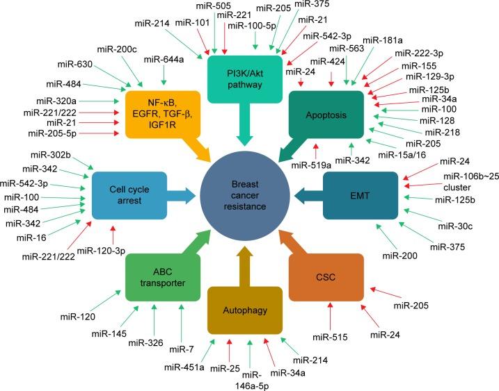 https://cdn.ncbi.nlm.nih.gov/pmc/blobs/368e/5865556/04163b3890e4/ott-11-1529Fig1.jpg