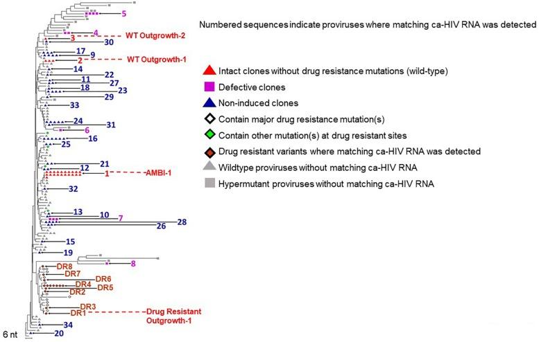 https://cdn.ncbi.nlm.nih.gov/pmc/blobs/368f/6781911/36bd53340006/fmicb-10-02204-g002.jpg
