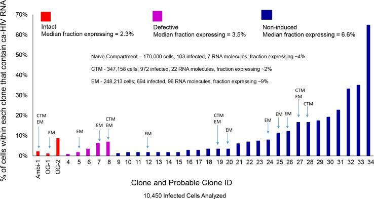https://cdn.ncbi.nlm.nih.gov/pmc/blobs/368f/6781911/7a4387b761ed/fmicb-10-02204-g004.jpg