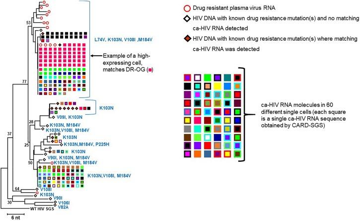 https://cdn.ncbi.nlm.nih.gov/pmc/blobs/368f/6781911/bf8d364aed40/fmicb-10-02204-g005.jpg
