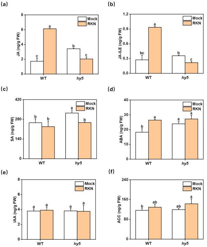 https://cdn.ncbi.nlm.nih.gov/pmc/blobs/3690/12189740/059911e3acac/antioxidants-14-00679-g007.jpg
