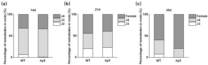 https://cdn.ncbi.nlm.nih.gov/pmc/blobs/3690/12189740/705c89b45163/antioxidants-14-00679-g004.jpg