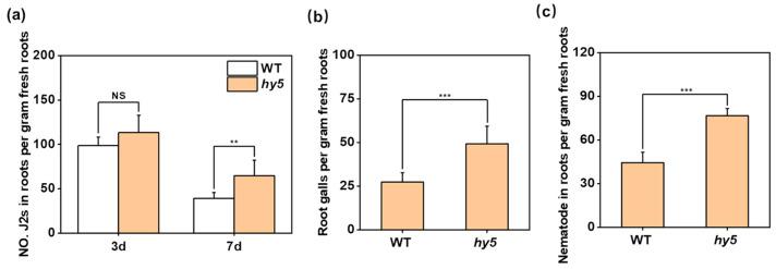 https://cdn.ncbi.nlm.nih.gov/pmc/blobs/3690/12189740/b4fe65cbaea8/antioxidants-14-00679-g002.jpg