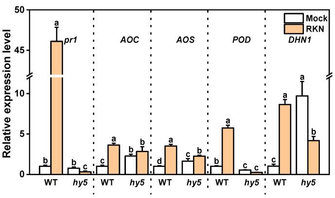 https://cdn.ncbi.nlm.nih.gov/pmc/blobs/3690/12189740/f1591210398e/antioxidants-14-00679-g009.jpg