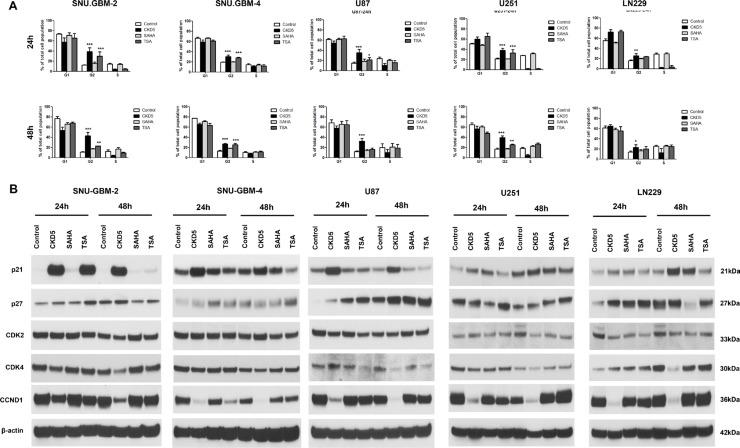 https://cdn.ncbi.nlm.nih.gov/pmc/blobs/3690/5354719/8f6e474c0020/oncotarget-08-9123-g002.jpg