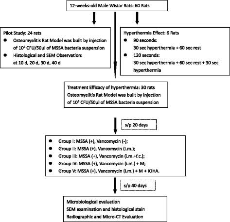 https://cdn.ncbi.nlm.nih.gov/pmc/blobs/3691/5526269/4021250e769d/12879_2017_2621_Fig2_HTML.jpg