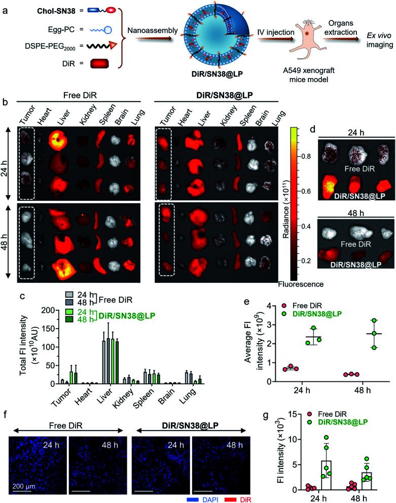 https://cdn.ncbi.nlm.nih.gov/pmc/blobs/3691/9418717/0fea01143308/d1na00838b-f5.jpg
