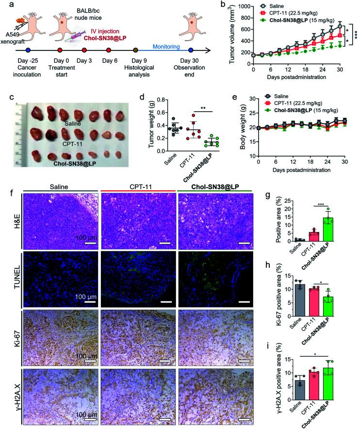 https://cdn.ncbi.nlm.nih.gov/pmc/blobs/3691/9418717/29475881977c/d1na00838b-f6.jpg