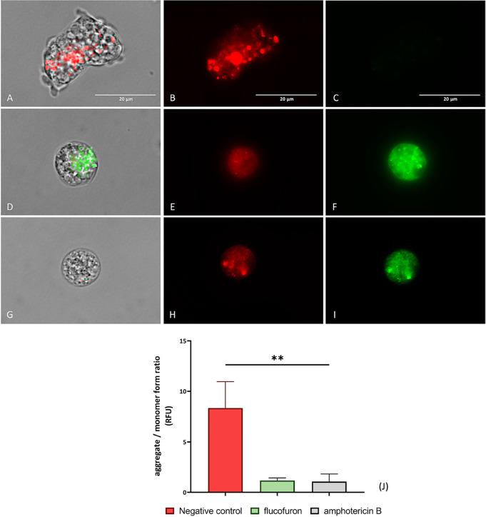 https://cdn.ncbi.nlm.nih.gov/pmc/blobs/3697/11184546/1b98bc4376d8/id4c00062_0006.jpg