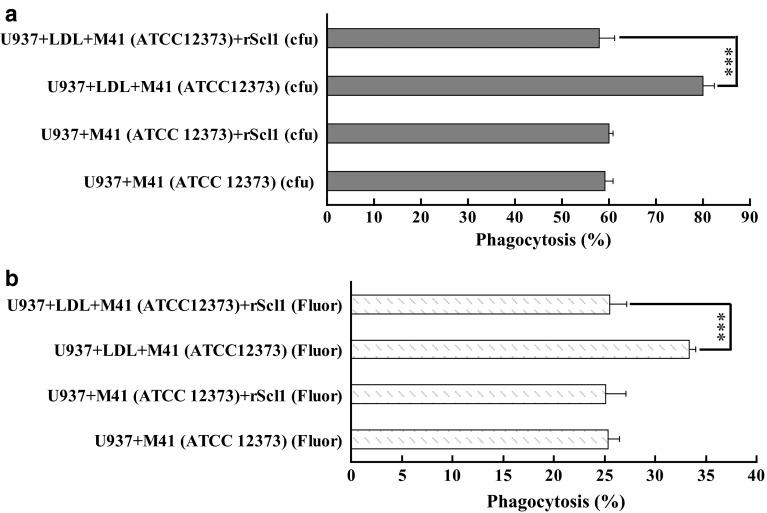 https://cdn.ncbi.nlm.nih.gov/pmc/blobs/3697/4792331/a162e372bb55/430_2015_436_Fig2_HTML.jpg