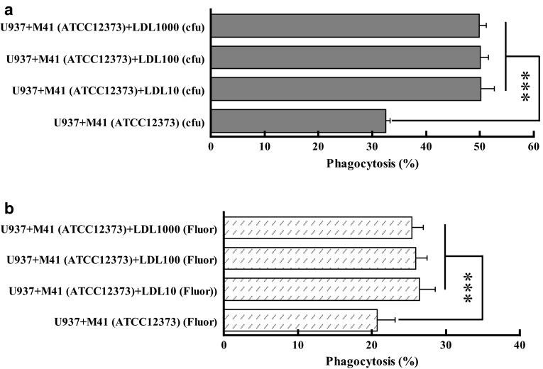 https://cdn.ncbi.nlm.nih.gov/pmc/blobs/3697/4792331/f4b1621d4a67/430_2015_436_Fig4_HTML.jpg