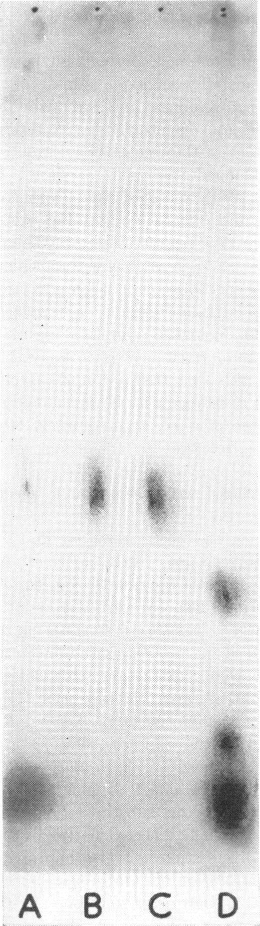 https://cdn.ncbi.nlm.nih.gov/pmc/blobs/3698/290363/31358fd71e75/jbacter00500-0027-a.jpg