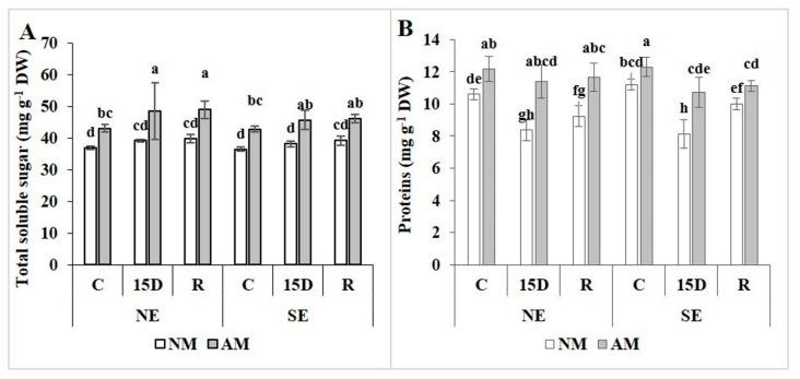 https://cdn.ncbi.nlm.nih.gov/pmc/blobs/369c/7020440/99be65313516/plants-09-00080-g003.jpg