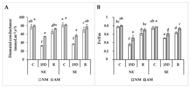 https://cdn.ncbi.nlm.nih.gov/pmc/blobs/369c/7020440/9c19a729ca05/plants-09-00080-g002.jpg