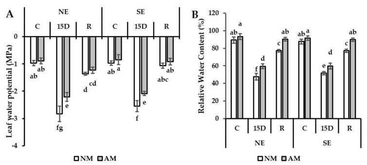 https://cdn.ncbi.nlm.nih.gov/pmc/blobs/369c/7020440/fdd900f96ee0/plants-09-00080-g001.jpg