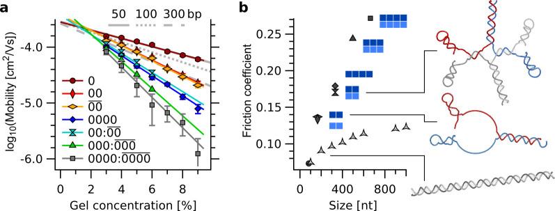 https://cdn.ncbi.nlm.nih.gov/pmc/blobs/369c/7924937/a5606fa755cc/elife-63431-fig2-figsupp1.jpg