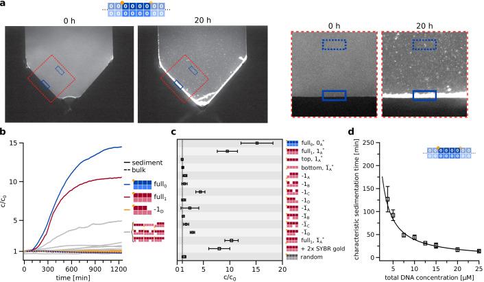 https://cdn.ncbi.nlm.nih.gov/pmc/blobs/369c/7924937/d23910c59bd4/elife-63431-fig3-figsupp1.jpg