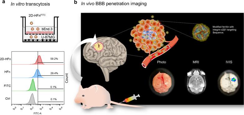 https://cdn.ncbi.nlm.nih.gov/pmc/blobs/369c/8201891/3b2cdbb2b7f7/12951_2021_925_Fig8_HTML.jpg