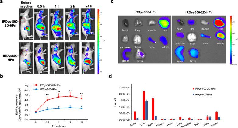 https://cdn.ncbi.nlm.nih.gov/pmc/blobs/369c/8201891/48dc0c37068c/12951_2021_925_Fig6_HTML.jpg