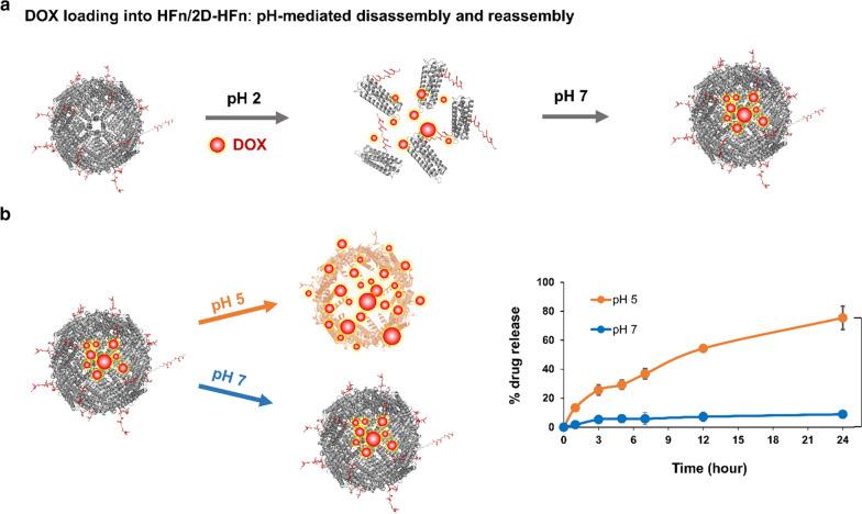 https://cdn.ncbi.nlm.nih.gov/pmc/blobs/369c/8201891/eca4d22c3cfd/12951_2021_925_Fig3_HTML.jpg