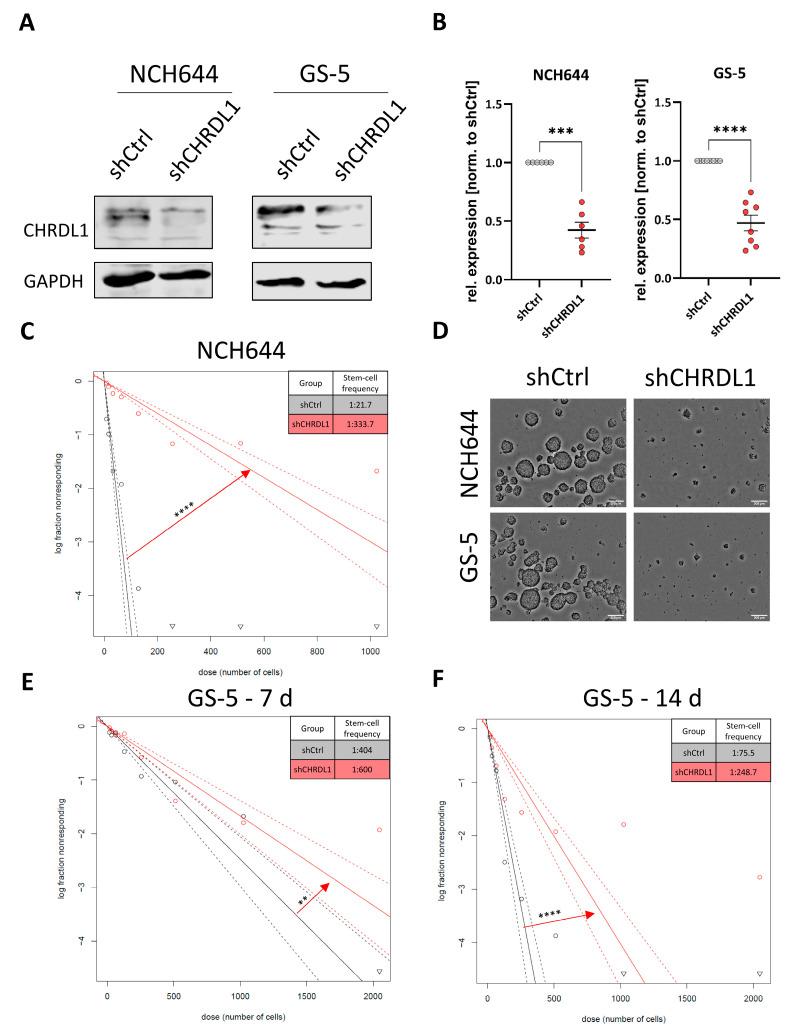 https://cdn.ncbi.nlm.nih.gov/pmc/blobs/369d/9741078/3e771047748b/cells-11-03917-g001.jpg