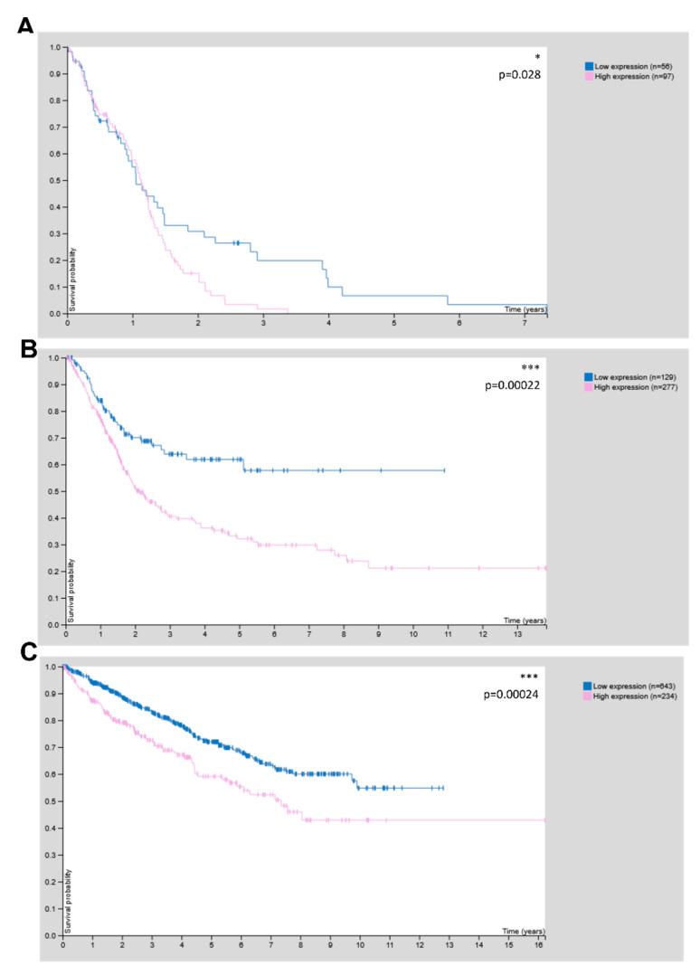 https://cdn.ncbi.nlm.nih.gov/pmc/blobs/369d/9741078/4bb73be33b72/cells-11-03917-g008.jpg