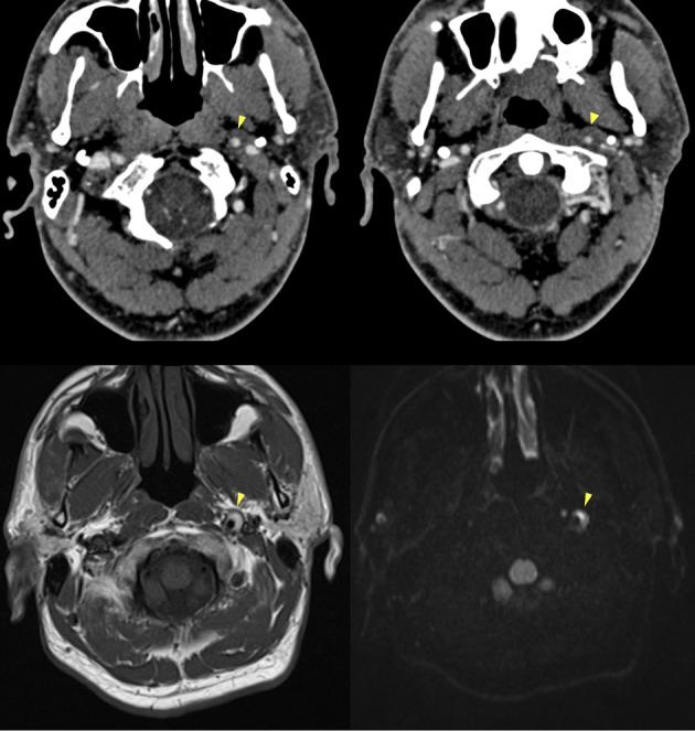 https://cdn.ncbi.nlm.nih.gov/pmc/blobs/369f/12362949/a3967acaa6d8/13054_2025_5586_Fig8_HTML.jpg