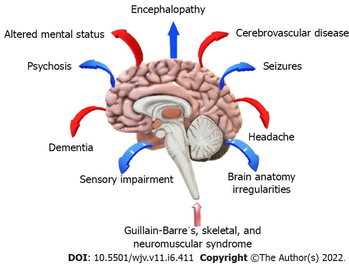 https://cdn.ncbi.nlm.nih.gov/pmc/blobs/36a0/9724198/39b782b25cfc/WJV-11-411-g001.jpg