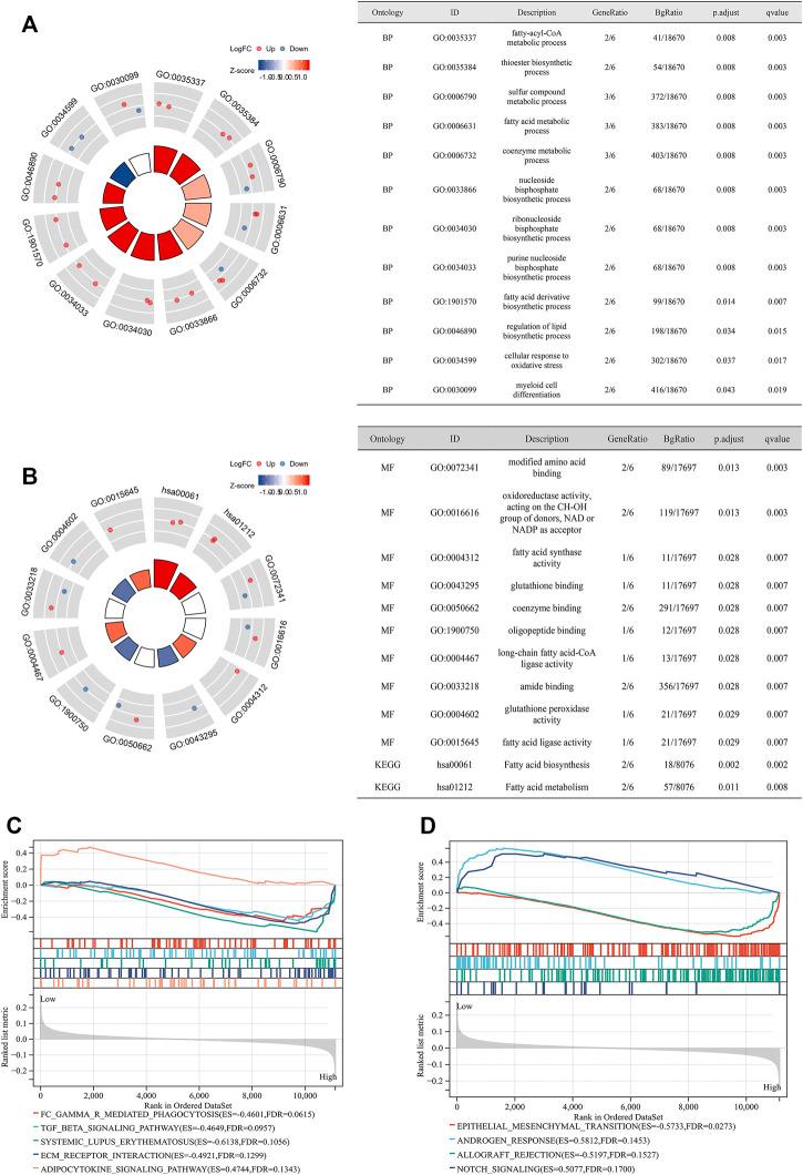 https://cdn.ncbi.nlm.nih.gov/pmc/blobs/36a1/8867172/2552a542eea1/fcell-10-803766-g004.jpg