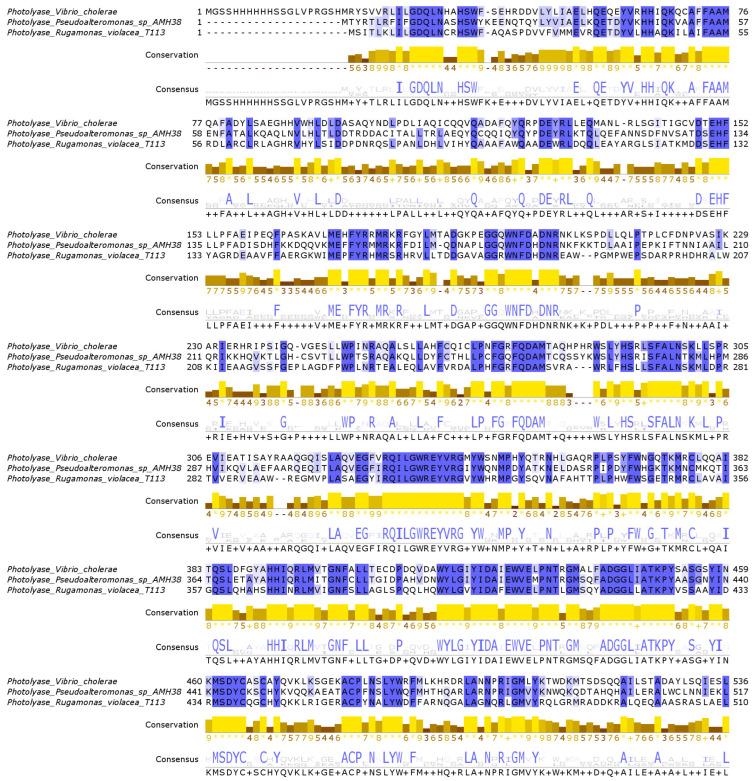 https://cdn.ncbi.nlm.nih.gov/pmc/blobs/36a2/12192789/994dfa1f1f88/ijms-26-05842-g003.jpg