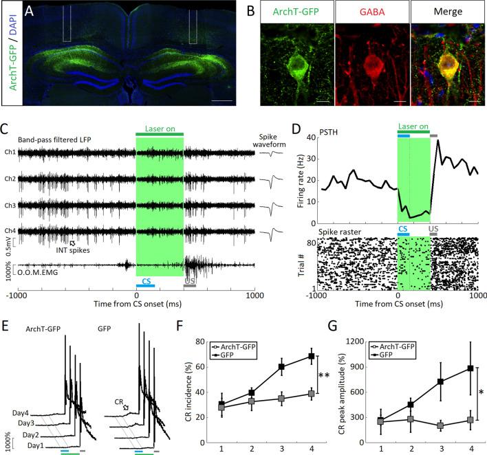 https://cdn.ncbi.nlm.nih.gov/pmc/blobs/36a2/8353031/b52e47b7c776/12264_2021_700_Fig6_HTML.jpg