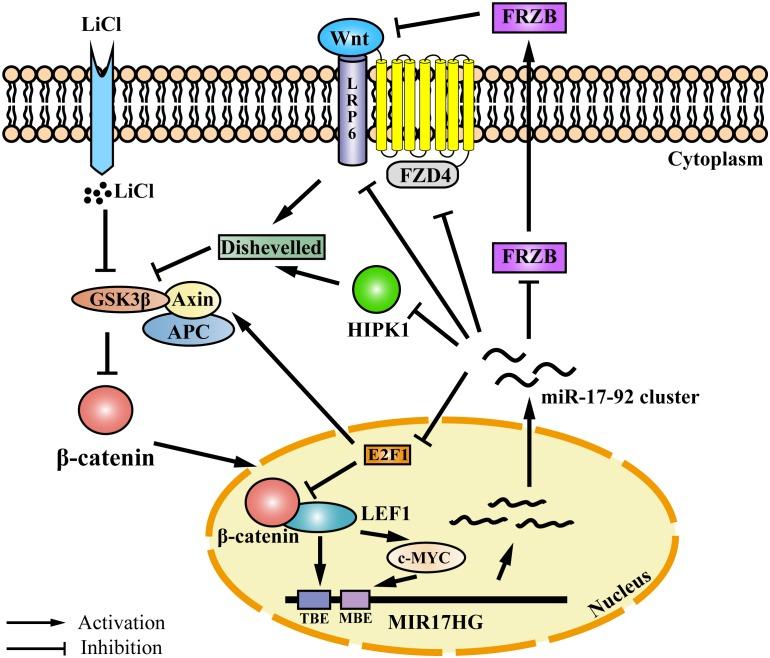 https://cdn.ncbi.nlm.nih.gov/pmc/blobs/36a4/6549003/2bc83b47e4da/fgene-10-00525-g006.jpg