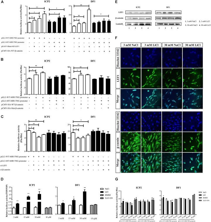 https://cdn.ncbi.nlm.nih.gov/pmc/blobs/36a4/6549003/e046bd3746aa/fgene-10-00525-g003.jpg