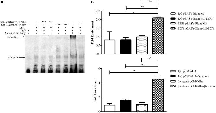 https://cdn.ncbi.nlm.nih.gov/pmc/blobs/36a4/6549003/f88990ac5895/fgene-10-00525-g002.jpg