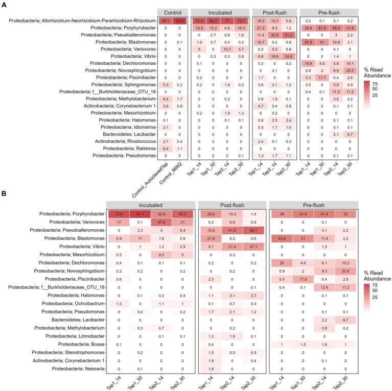 https://cdn.ncbi.nlm.nih.gov/pmc/blobs/36a5/11157071/a4edaa6d5899/fmicb-15-1339844-g006.jpg