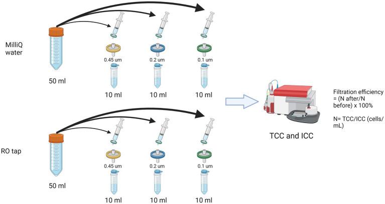 https://cdn.ncbi.nlm.nih.gov/pmc/blobs/36a5/11157071/e56ddca79f21/fmicb-15-1339844-g001.jpg
