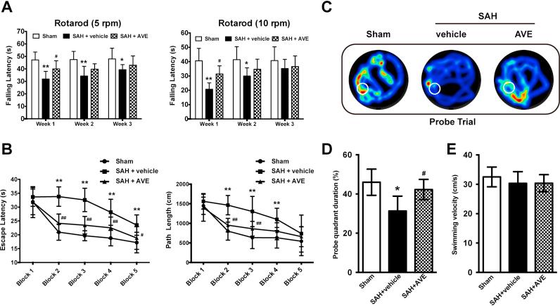 https://cdn.ncbi.nlm.nih.gov/pmc/blobs/36a9/6174866/16de6c433546/gr5.jpg
